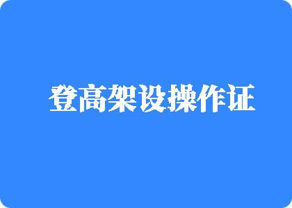 看逼网址登高架设操作证